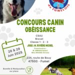 Concours Canin Obéissance 2025