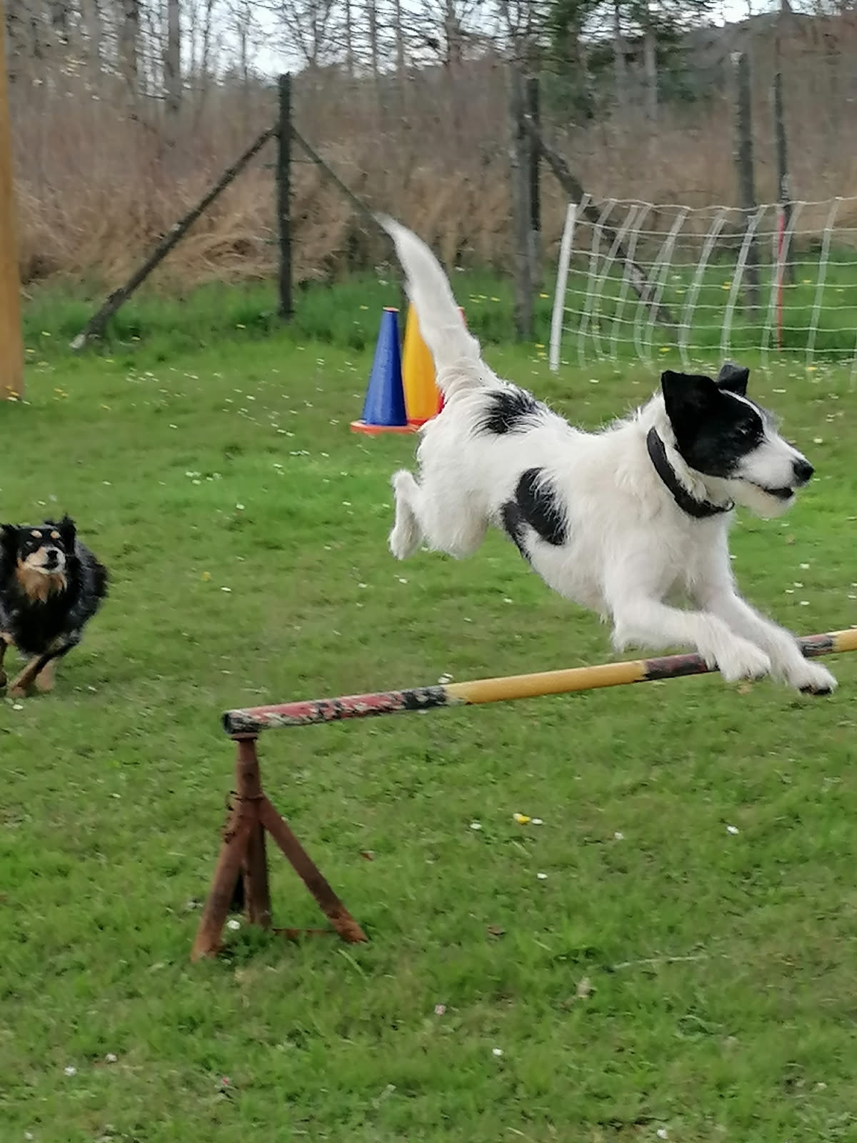 image0000021