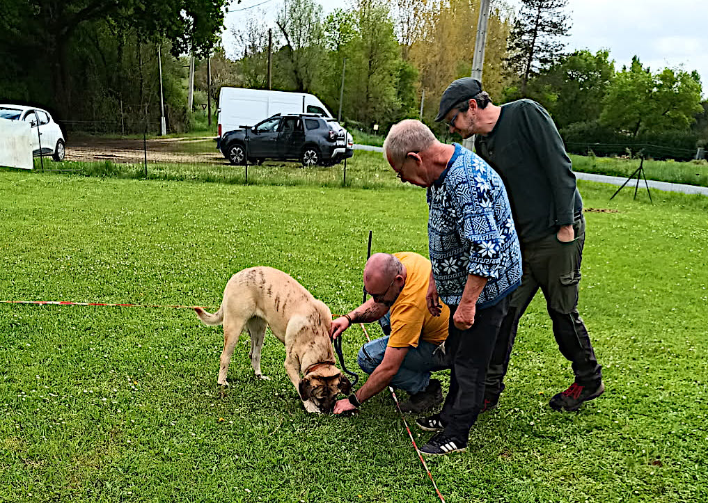 Entrainement Lundi de Pâques