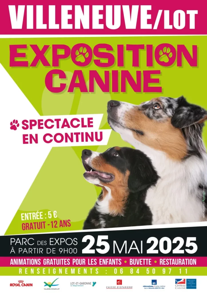 Exposition Canine Villeneuve sur Lot